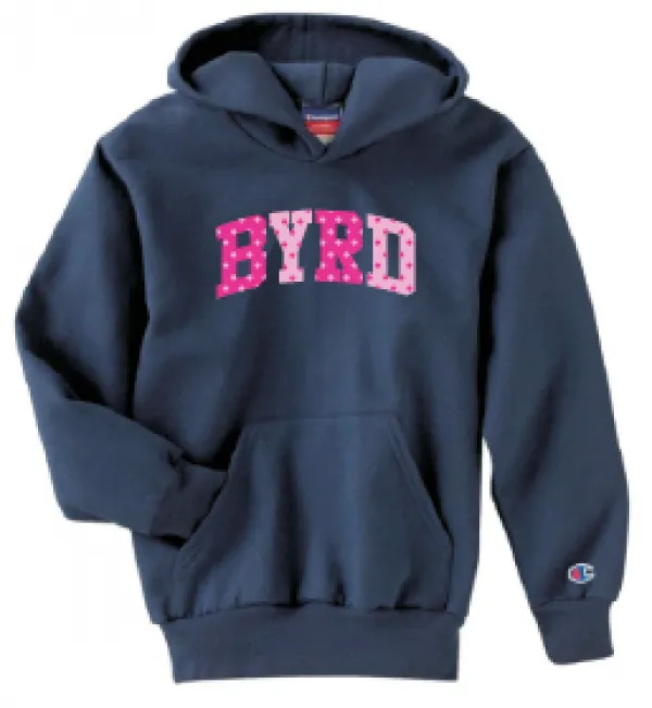 Champion Pullover Hooded Sweatshirt <br>NAVY