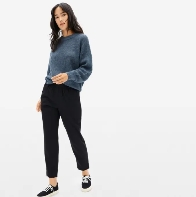 Everlane The Italian GoWeave Easy Pant - 6
