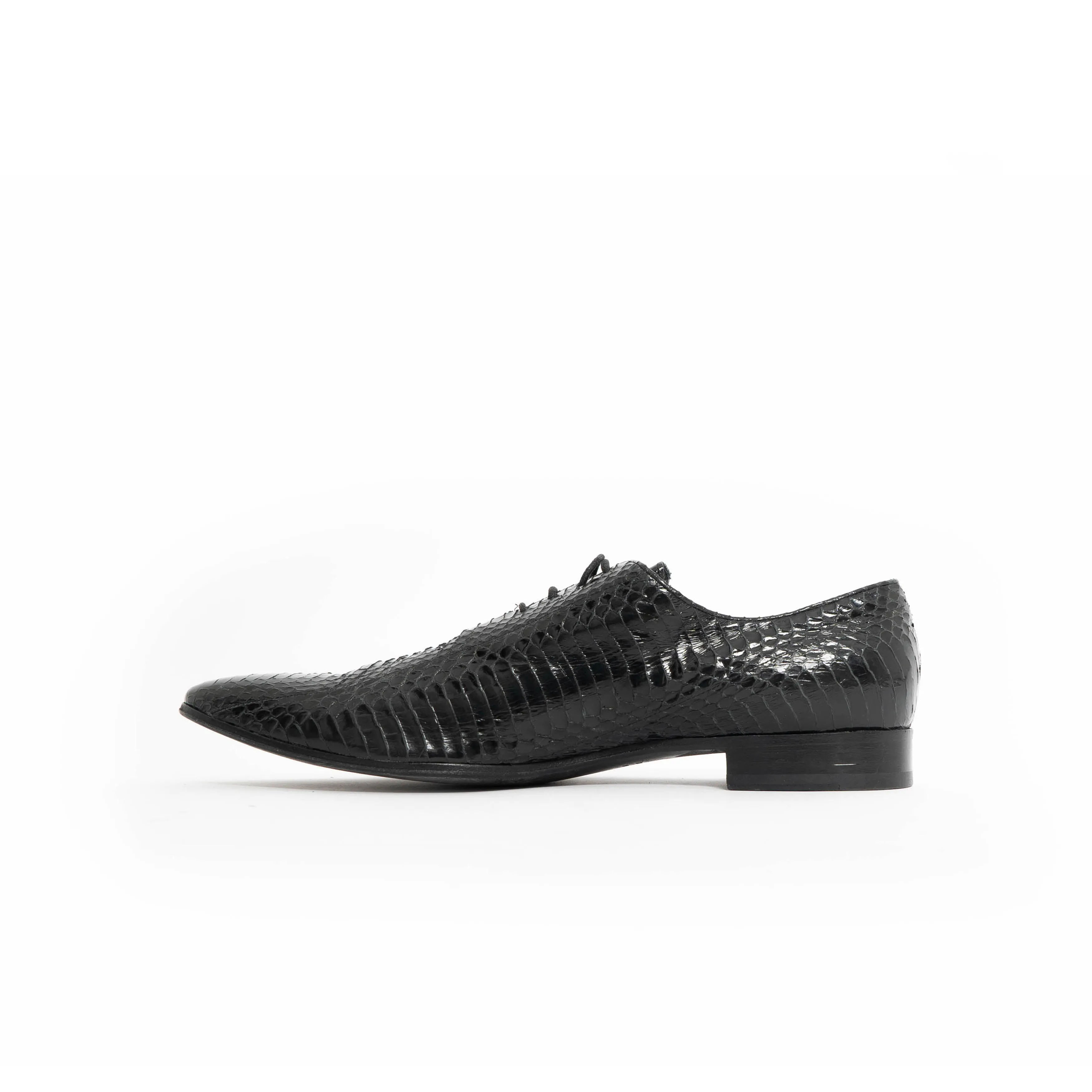FW16 Black Polished Python Derby